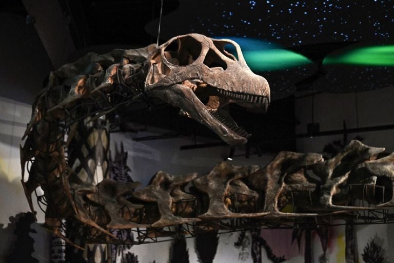 Nagatitan chaiyaphumensis: Descubren en Tailandia un dinosaurio gigante