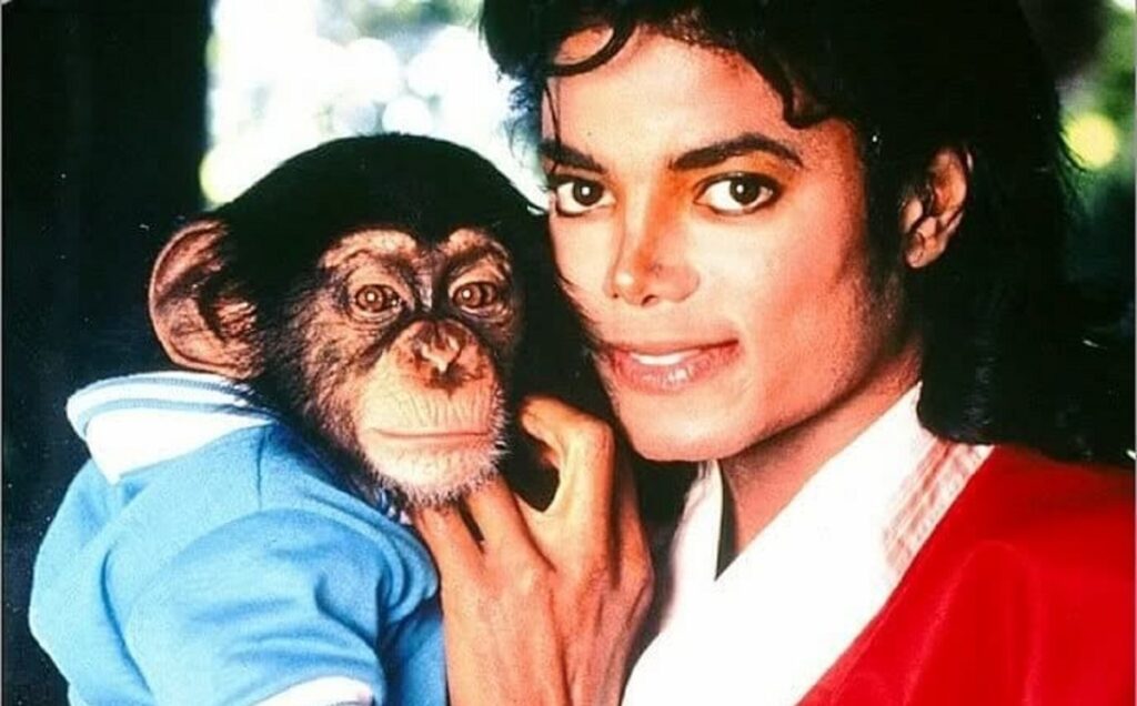 ¿Qué pasó con Bubbles, el chimpancé de Michael Jackson?