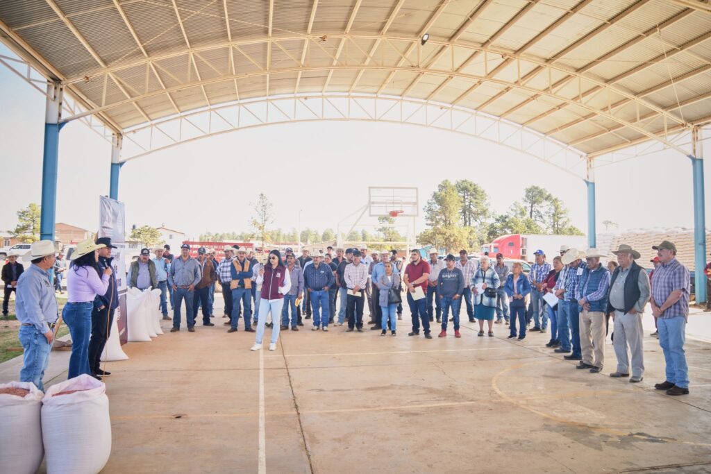 Entregan semilla a productores