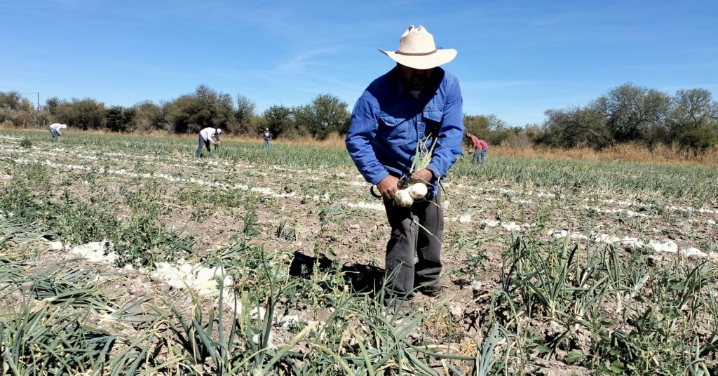 El campo de Durango sigue produciendo como hace 90 años, advierte Evenor Cuéllar