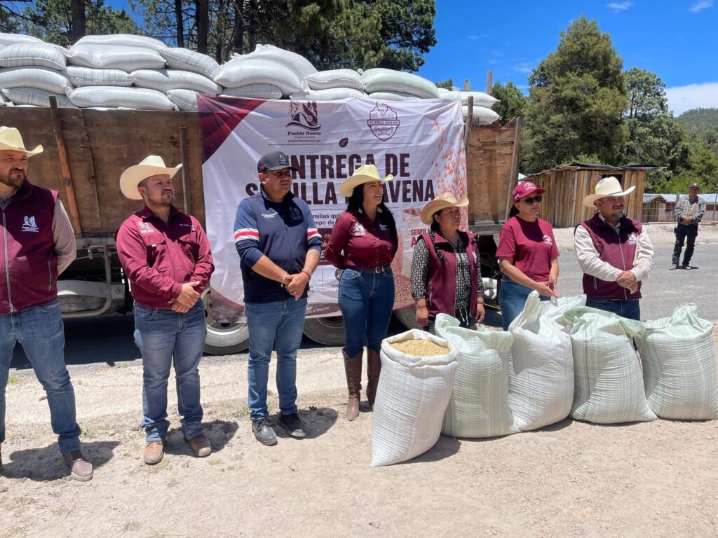 Entregan semilla de avena al campo