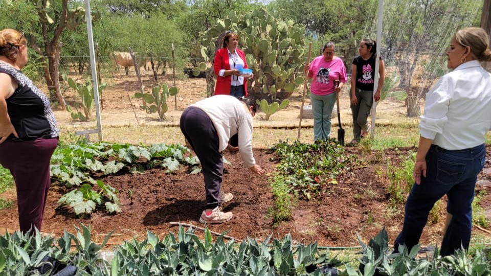 Realizan el taller “Huertos Familiares”; empoderando a mujeres de Nombre de Dios