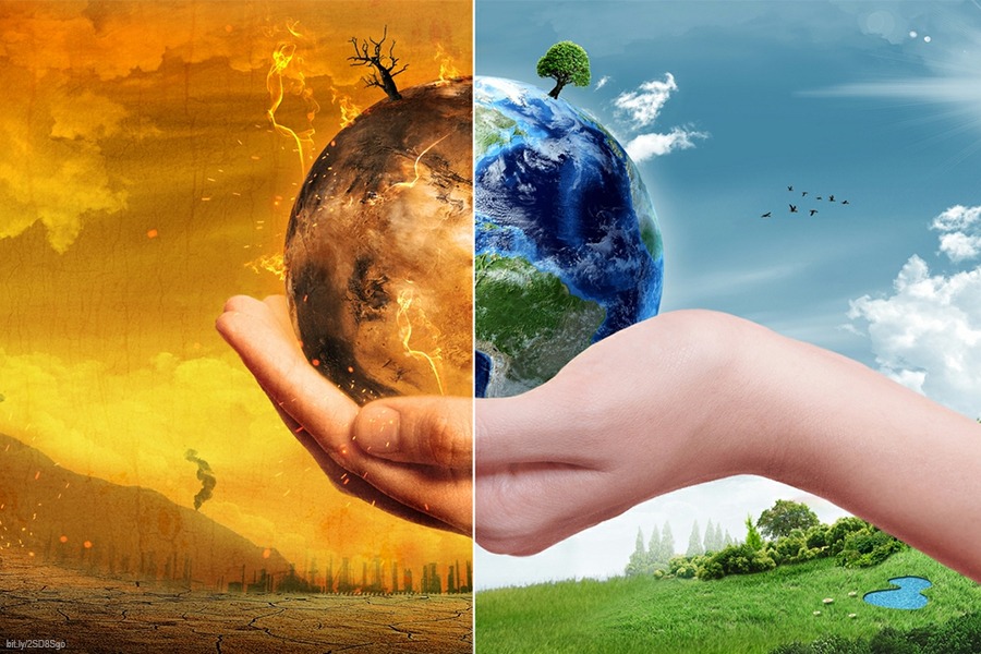 OMS analiza declarar el cambio climático como emergencia sanitaria global