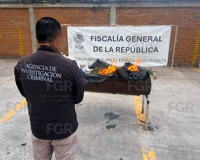 Aseguran y queman mariguana y otras sustancias en Durango