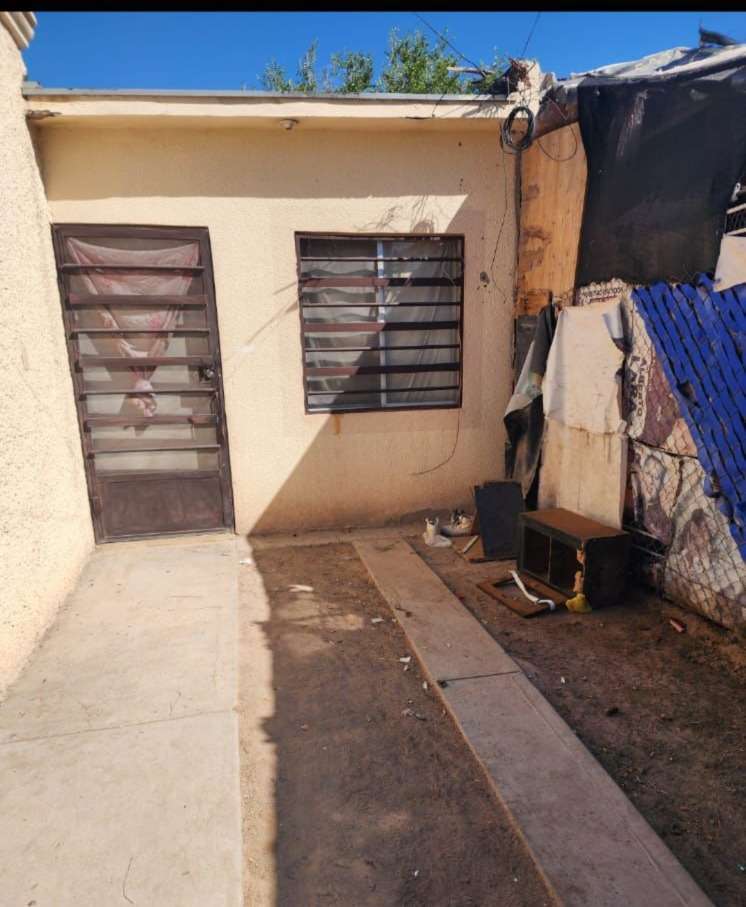 Rickettsiosis en Juárez deja dos muertes más