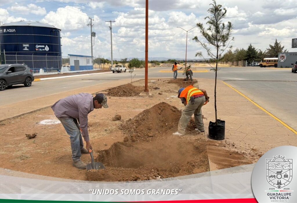 Refuerzan labores de limpieza y reforestación en el municipio