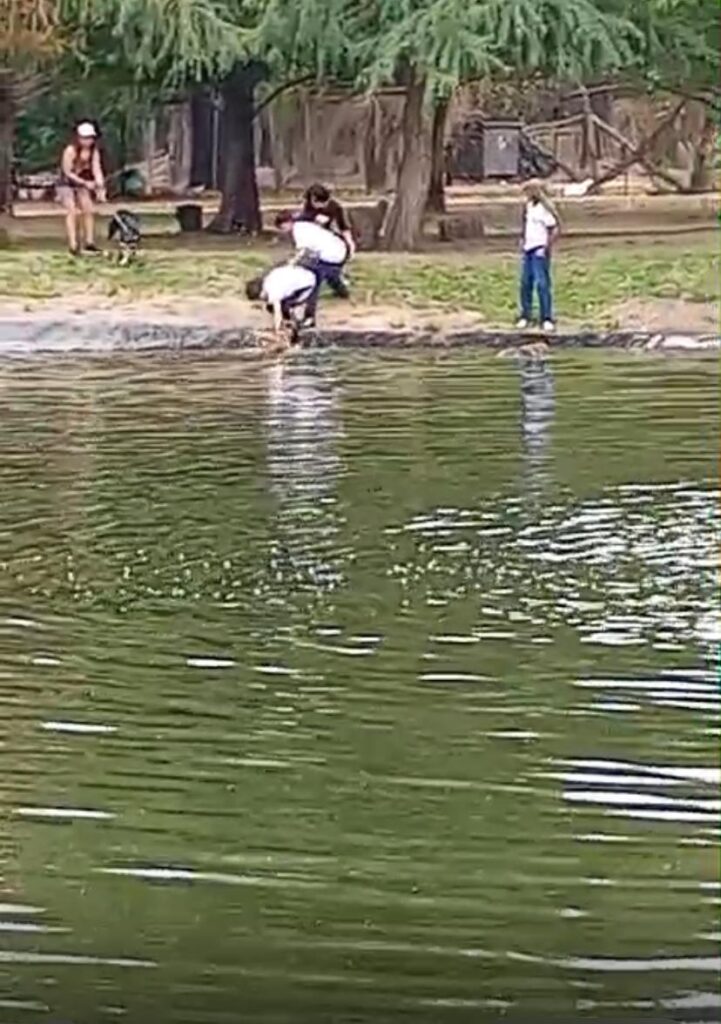 Alumnos de secundaria rescataron a perritos que se ahogaban en el Lago de La China