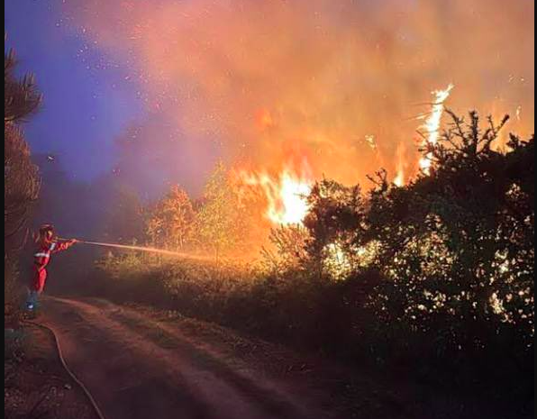 Incendio forestal en la Toscana italiana obliga a evacuar a miles de personas