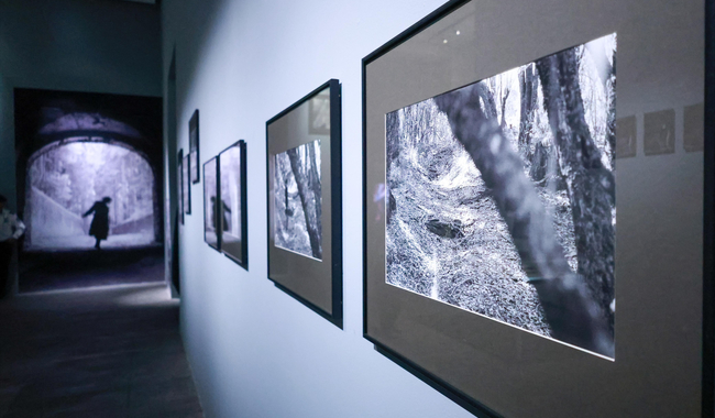 Secretaría de Cultura abre nuevas exposiciones fotográficas en el Centro de la Imagen
