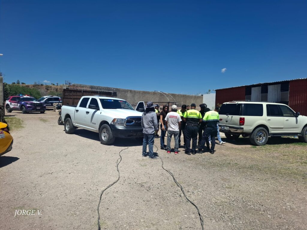 Llega una perrita a la casa con un recién nacido en el hocico