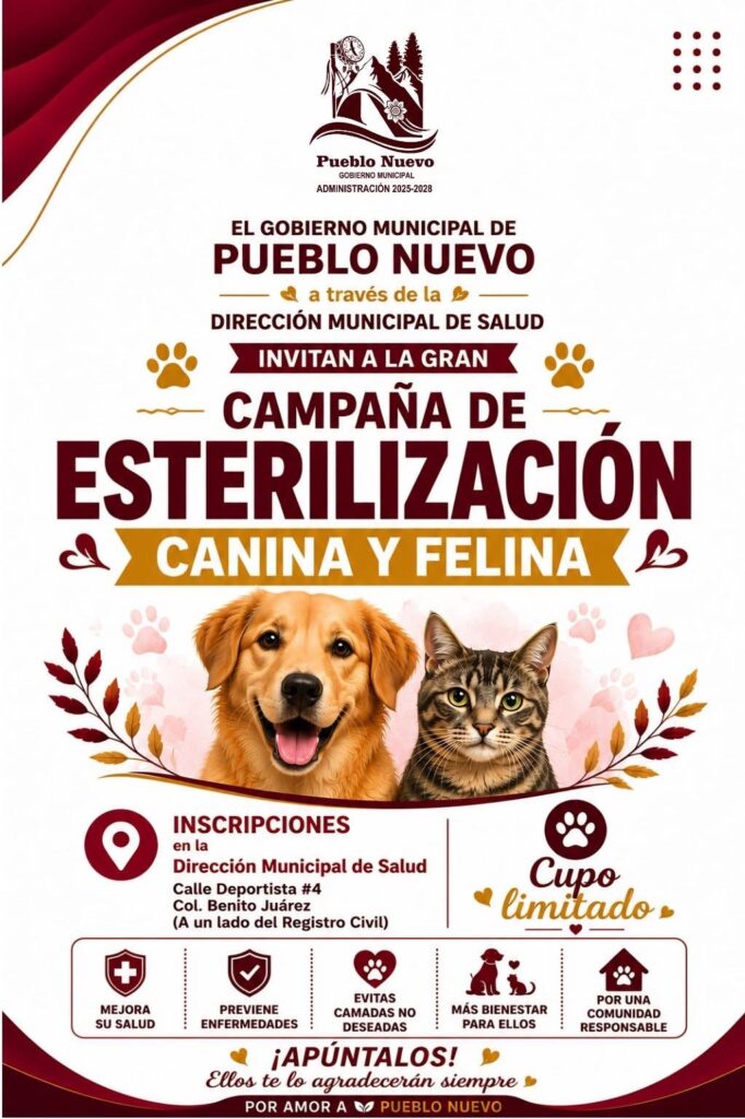 Invitan a esterilización de mascotas