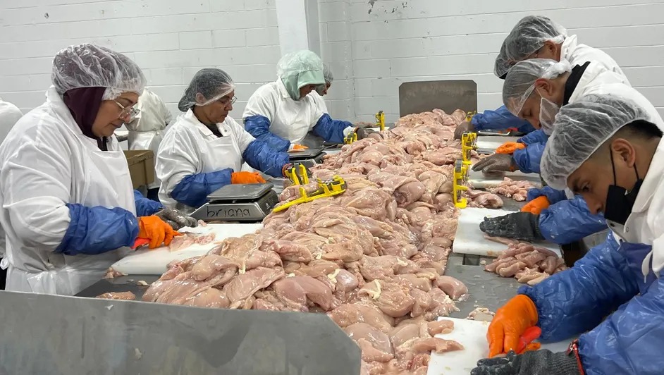 Migrantes mexicanos sostienen la industria avícola en Georgia