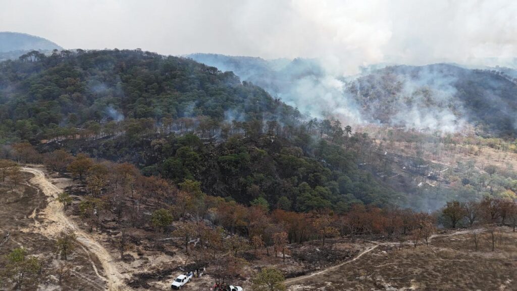 Controlan incendio forestal interestatal en “Loma de los Lobos”, en Ixtlán del Río