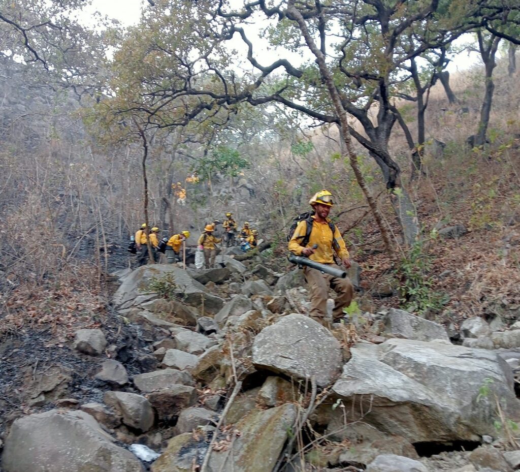 Gobierno del Estado logra 100 por ciento de control y liquidación del incendio forestal en el cerro de San Juan