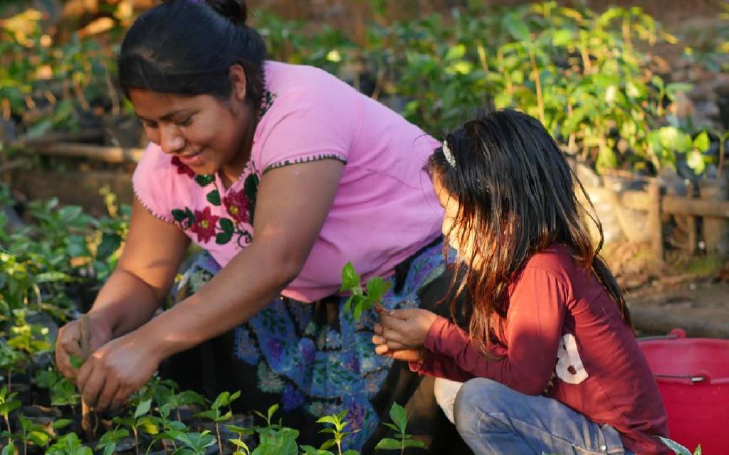 ‘Li Cham’, el documental que muestra la vida y lucha de mujeres tsotsiles