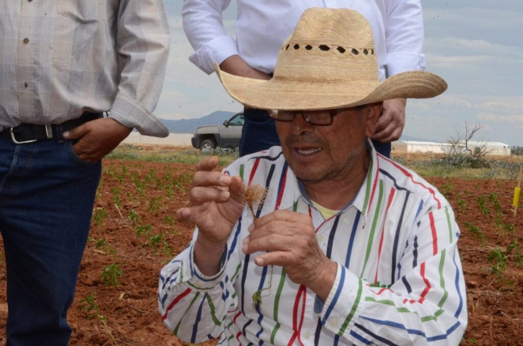 Especialista explica a productores cómo evitar otra crisis de virosis en chile