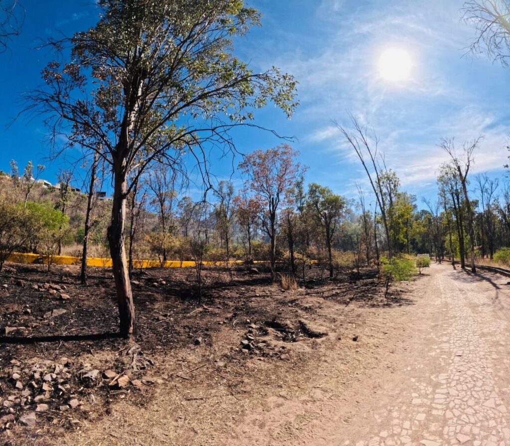Claudia Hernández llama a prevenir incendios mayores en Parque Sahuatoba