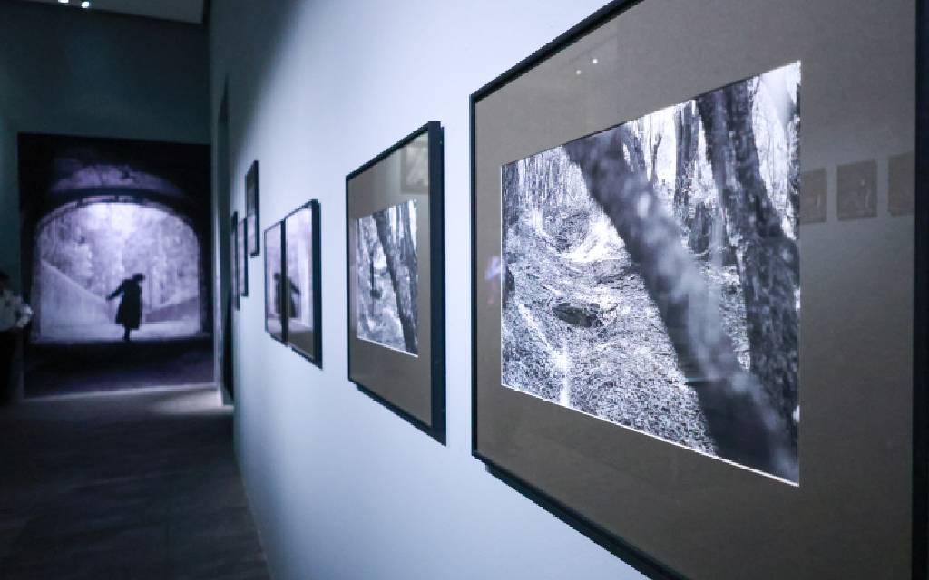 El Centro de la Imagen inaugura cinco nuevas exposiciones con fotografías, videos y archivos