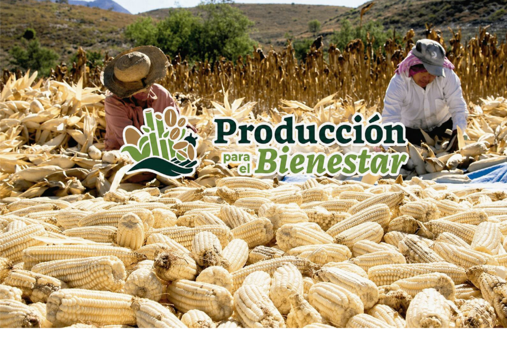 Producción para el Bienestar depositará hasta 24 mil pesos en mayo