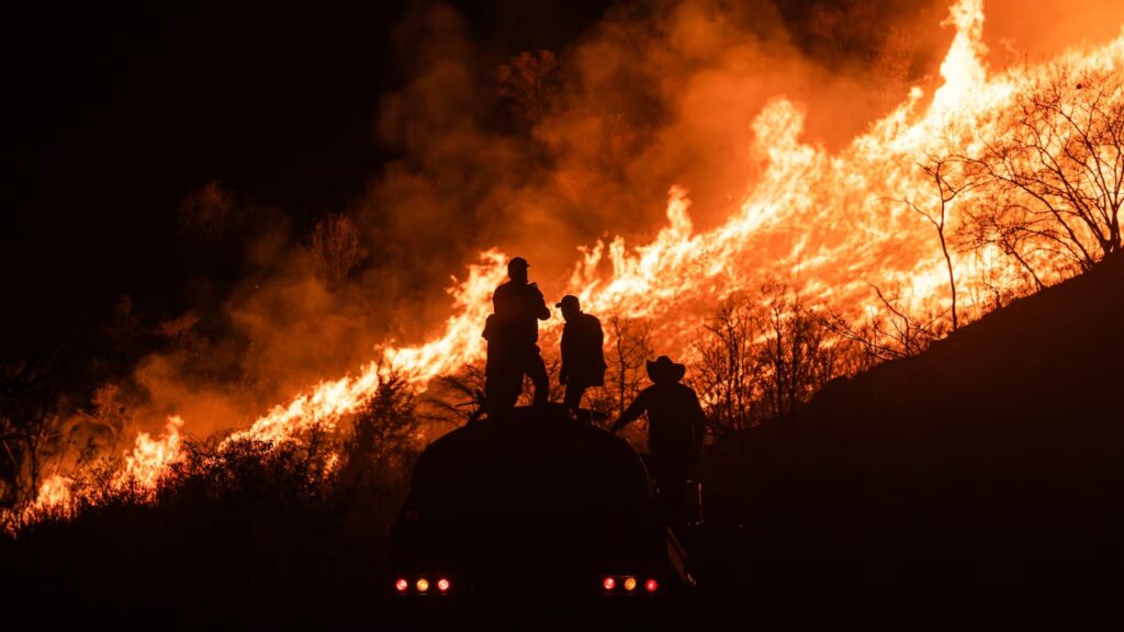 ‘El Niño’ podría elevar el riesgo de incendios forestales en varias regiones del mundo