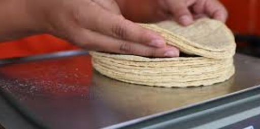 Sheinbaum impulsa estrategia nacional para proteger precio de tortilla