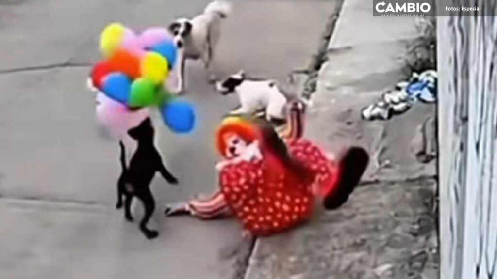 Viralizan video de payaso perseguido por perros que intentaban quitarle sus globos