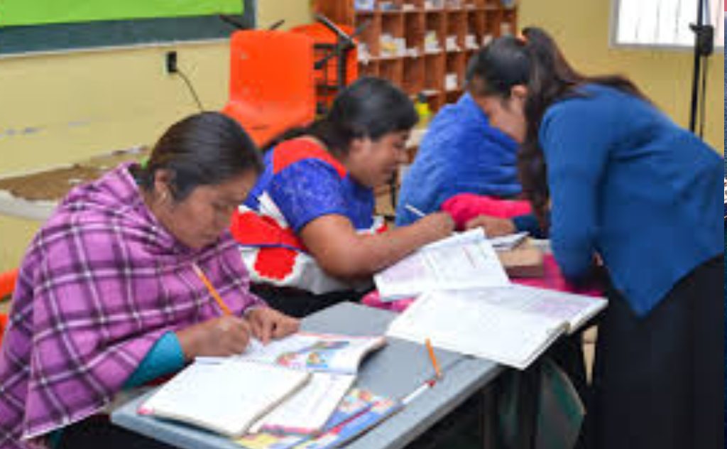 Alfabetización para el Bienestar alcanza cifra histórica en México