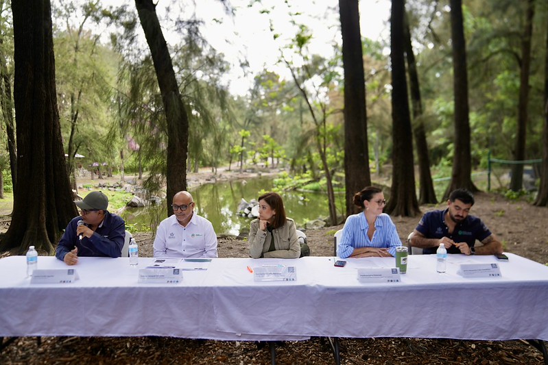 Jalisco proyecta plantar 211 mil árboles durante la Campaña Estatal de Reforestación 2026