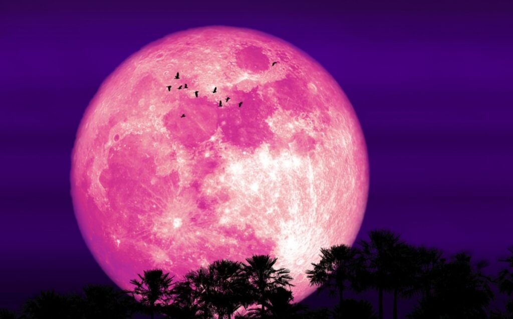 Luna de Fresa 2026: Cuándo y a qué hora podrá verse en México
