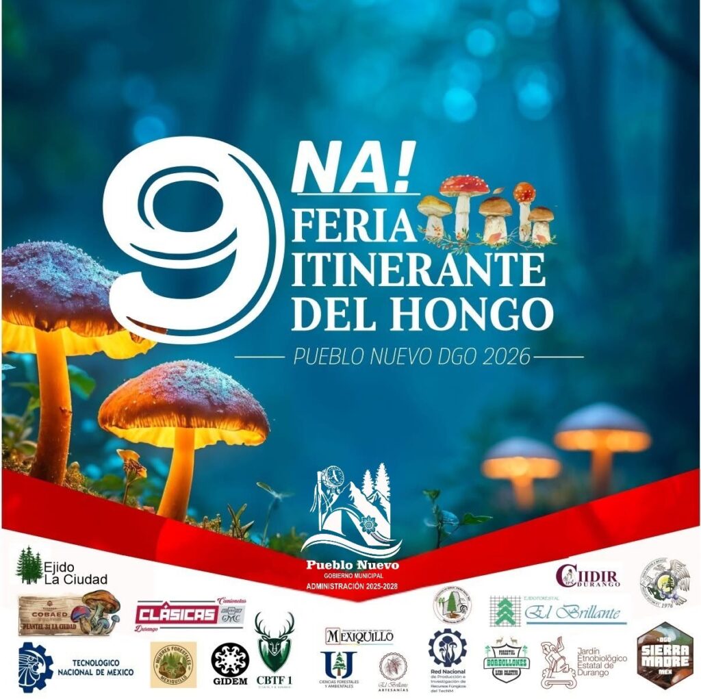 Feria del Hongo recorrerá comunidades