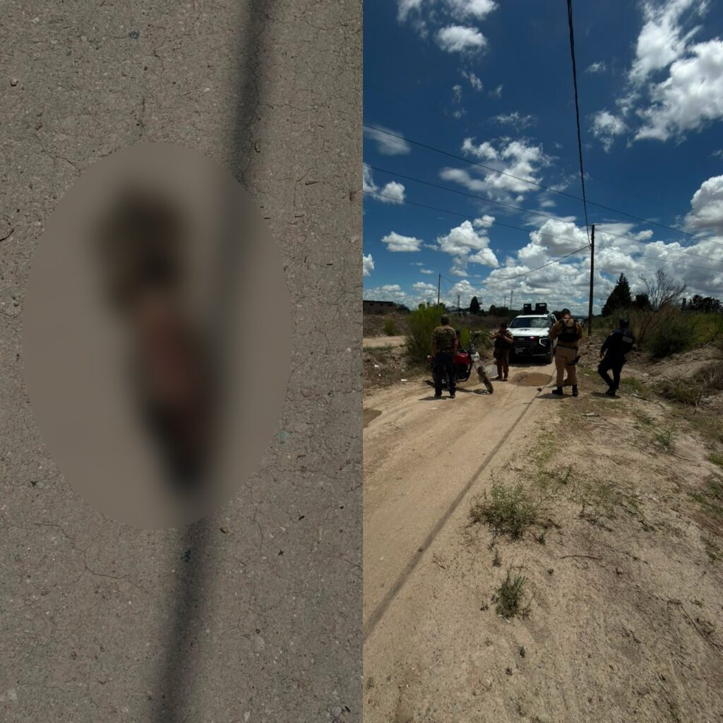 Reportan hallazgo de restos humanos y provocan gran movilización policiaca