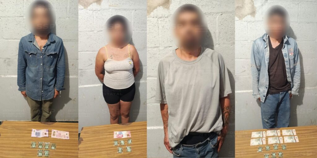 Joven mujer y tres varones detenidos con sustancias por el operativo Dragón
