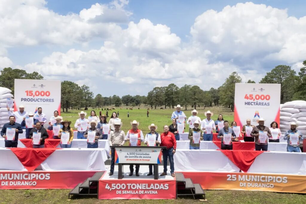 Semilla de avena es “oxígeno puro” para ganaderos de Durango: Ernesto Alanís