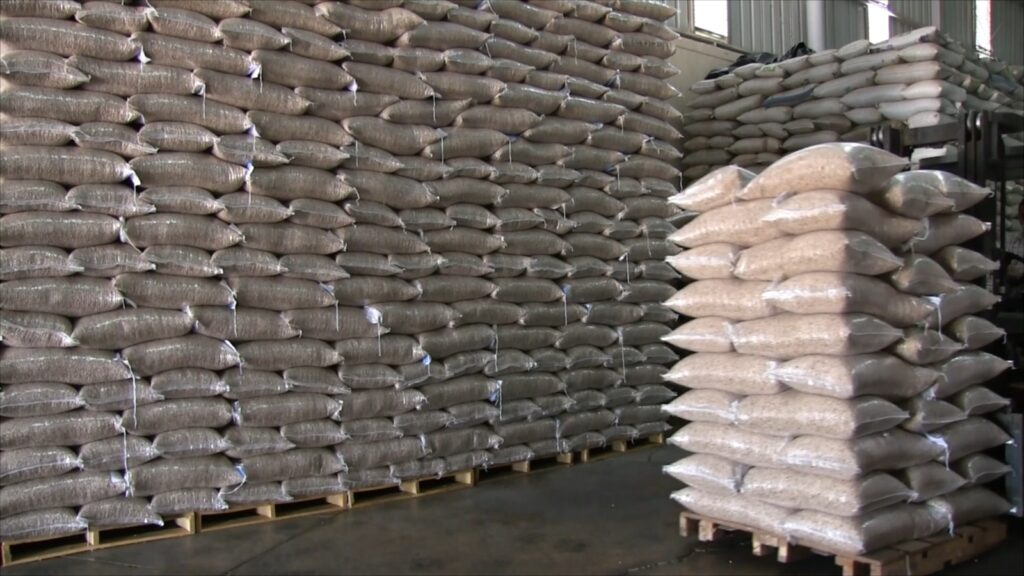 Productores buscan salida para 40 mil toneladas de frijol