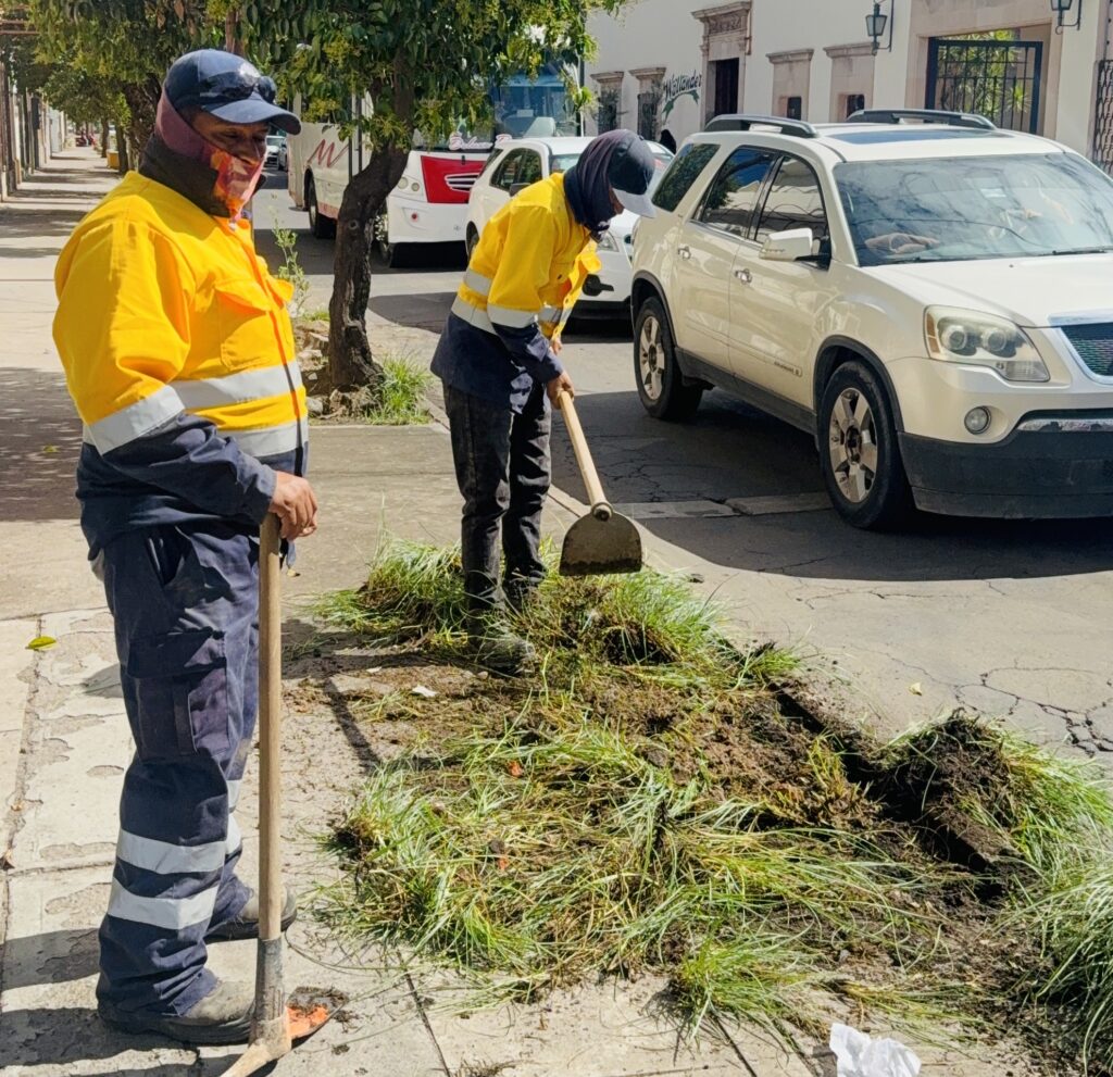 “Antes había espacios vacíos y hoy vuelven a crecer árboles. Arranco una nueva reforestación”