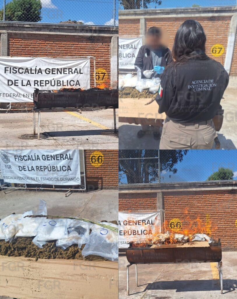 Autoridades federales aseguran e incineran sustancias en Durango