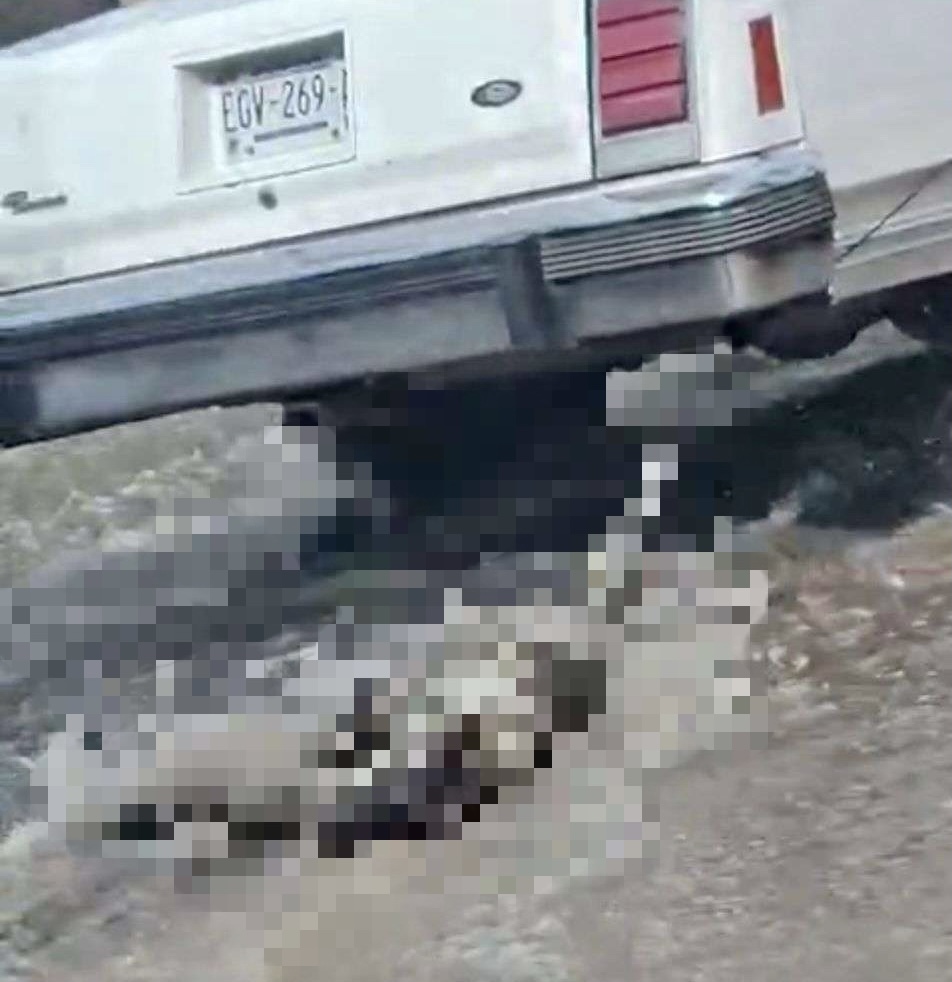 Horror en Chihuahua: arrastra a un perro con su auto hasta causarle la muerte