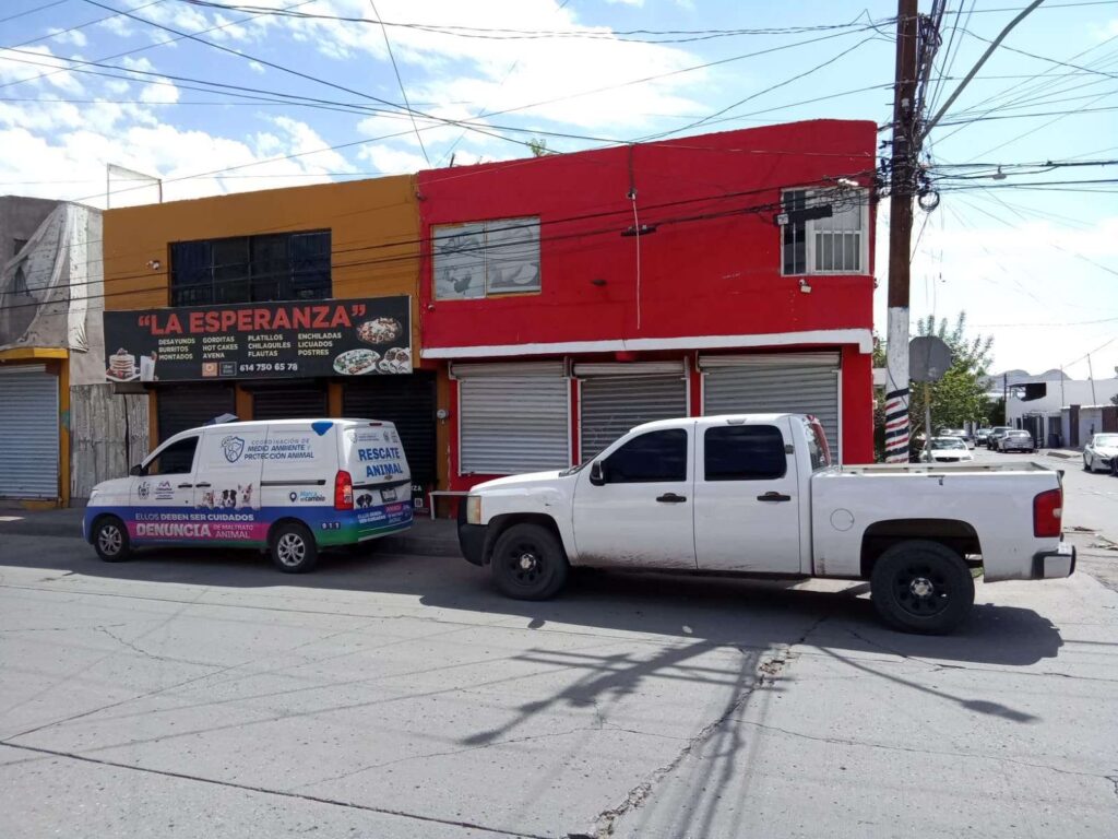 Detienen a hombre por caso de presunto maltrato animal en Chihuahua