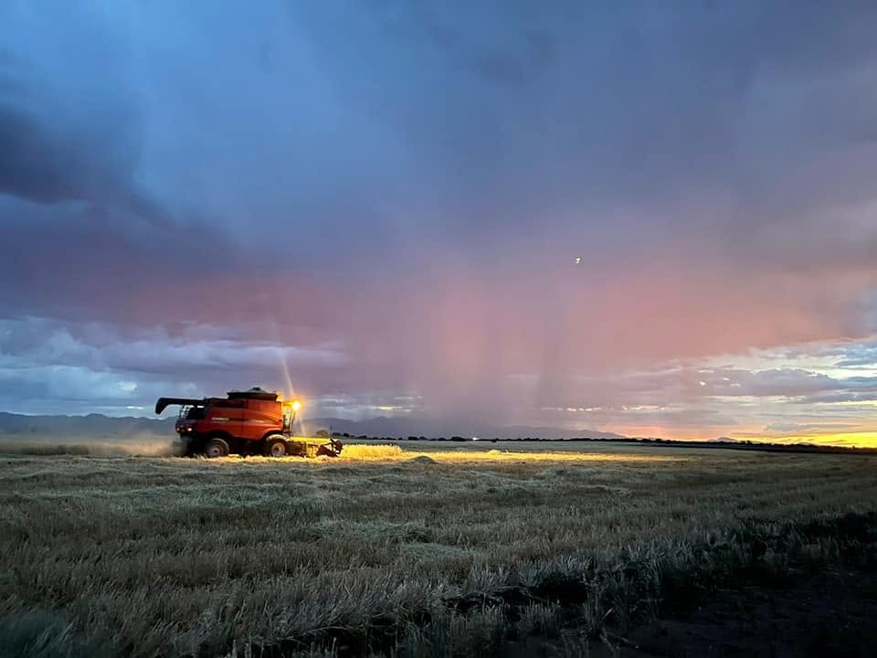 Canícula en julio y monzón en agosto: así viene el temporal para el campo de Durango
