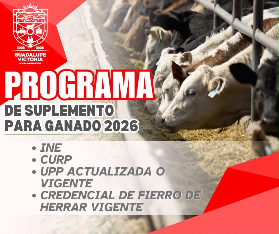 Invitan a productores a acceder a programa de suplemento para ganado en GV