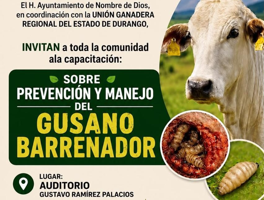 Este sábado habrá capacitación sobre el Gusano Barrenador en Nombre de Dios