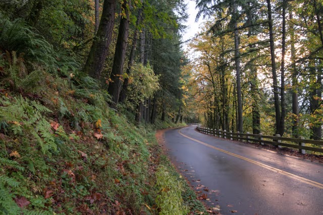 Hombre asesina a su pareja y muere de un infarto mientras ocultaba el cuerpo en un bosque