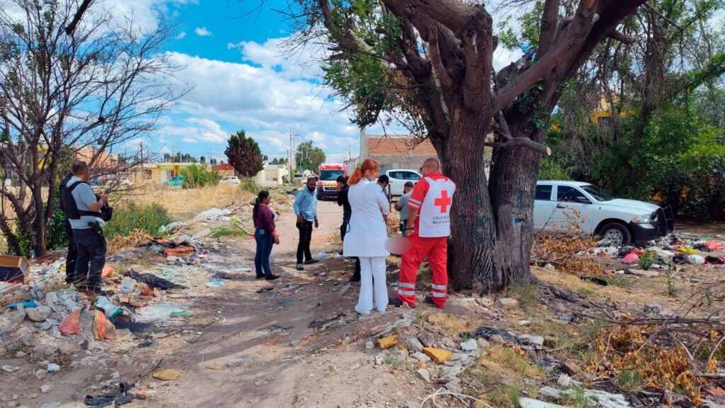 Debajo de un árbol encuentran a varón sin vida