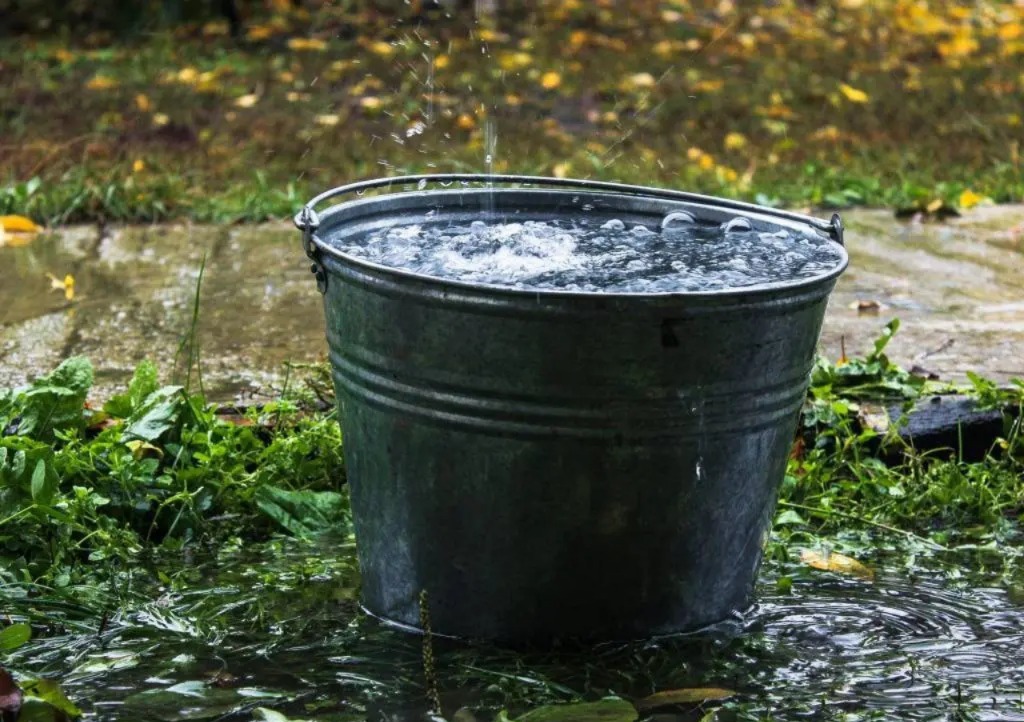 ¿Cómo recolectar agua de lluvia en casa? Estos son los 4 métodos recomendados