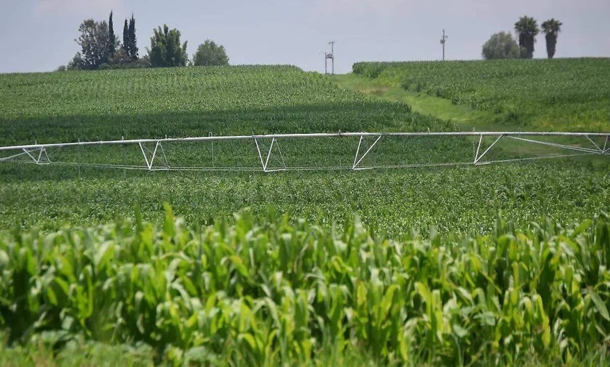 Conagua fortalece la infraestructura hidroagrícola de Durango con inversión de 45 mdp