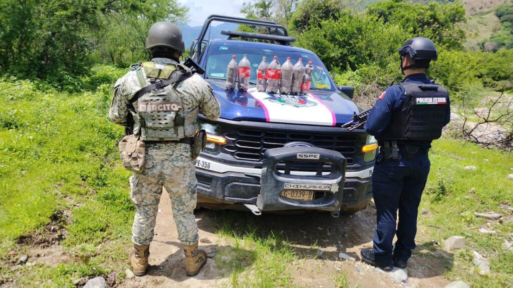 Asegura SSPE 18 kilos de semilla de amapola en Cinco Llagas