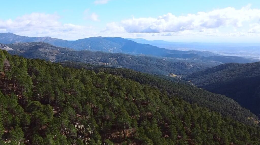 Calidad del aire en Durango permanece en niveles óptimos: SRNMA