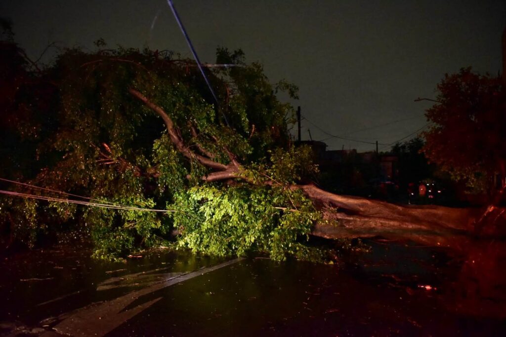 Tormenta con granizo provoca inundaciones, caída de árboles y afectaciones al transporte en el AMG
