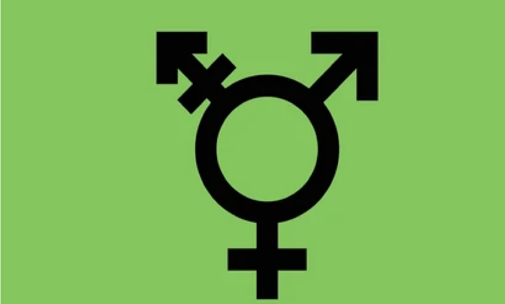 ¿Qué dice la sexología sobre las relaciones entre hombres y mujeres trans?