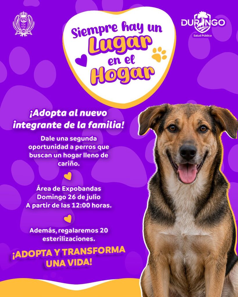Realizaran jornada de adopción en el área de expobandas este domingo